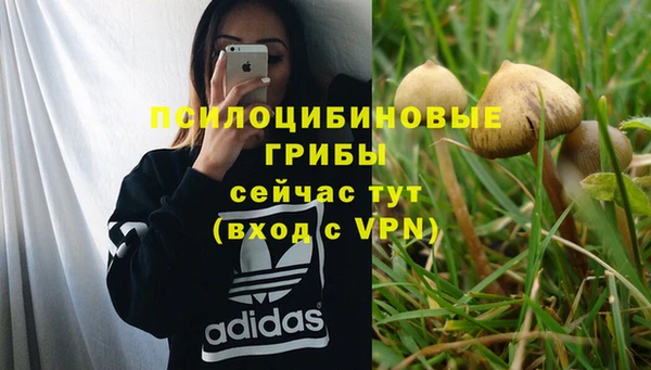 марки nbome Богородицк