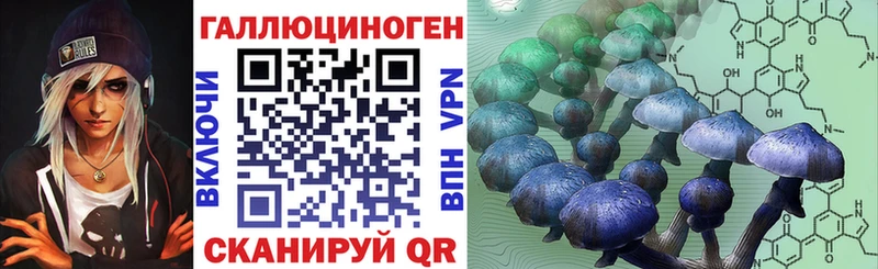 Псилоцибиновые грибы Cubensis  Купить  Губкин 